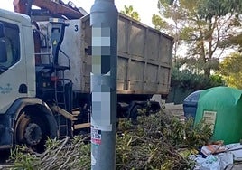 Podas abandonadas junto a unos contenedores en Orihuela Costa.