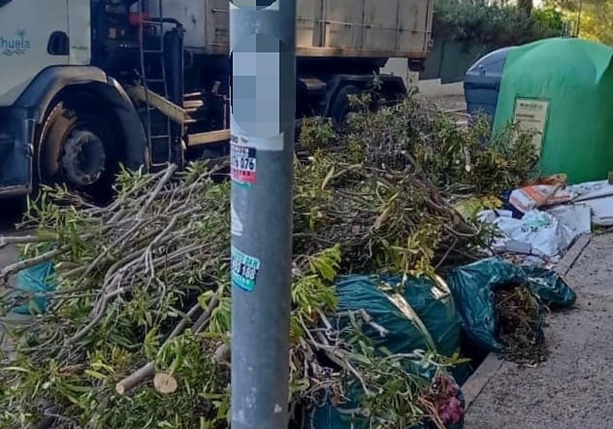 Podas abandonadas junto a unos contenedores en Orihuela Costa.