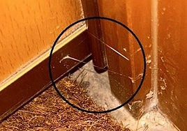 La técnica del 'hilo invisible' utilizada para robar en las viviendas.