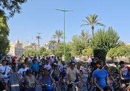 'Bicifestación' celebrada este domingo en Murcia.