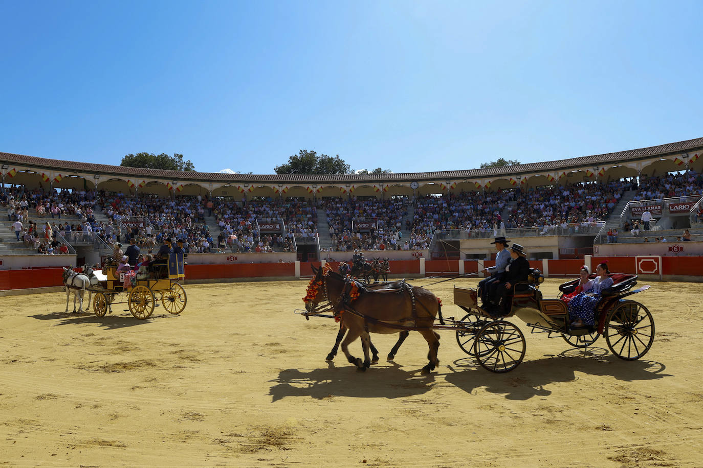 Las imágenes de la exhibición de enganches en Lorca