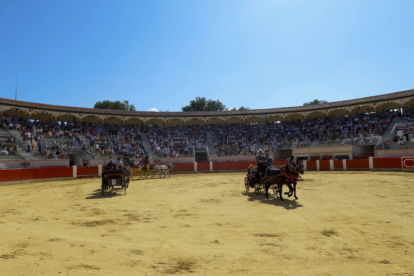 Las imágenes de la exhibición de enganches en Lorca