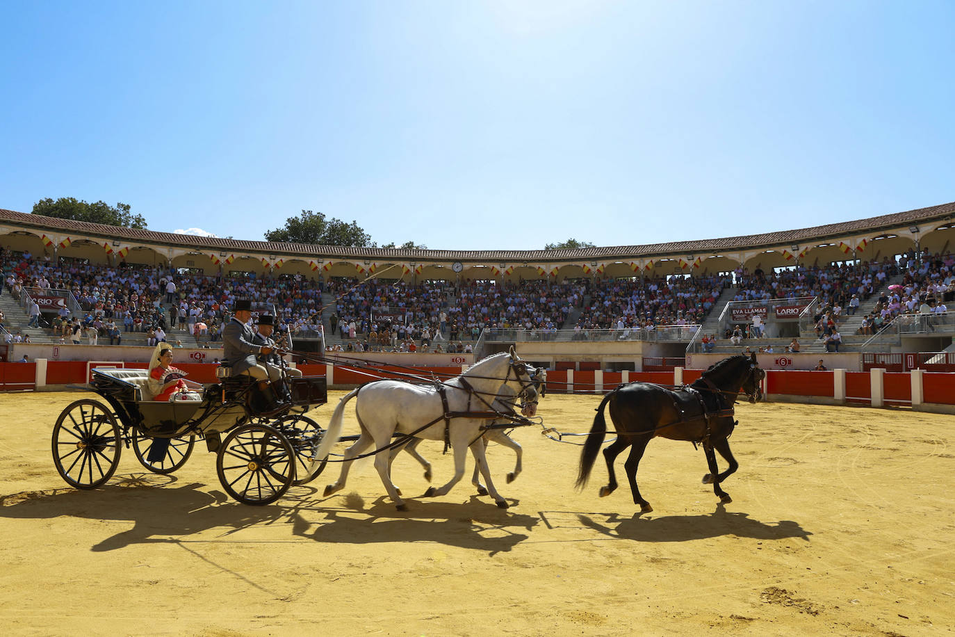 Las imágenes de la exhibición de enganches en Lorca