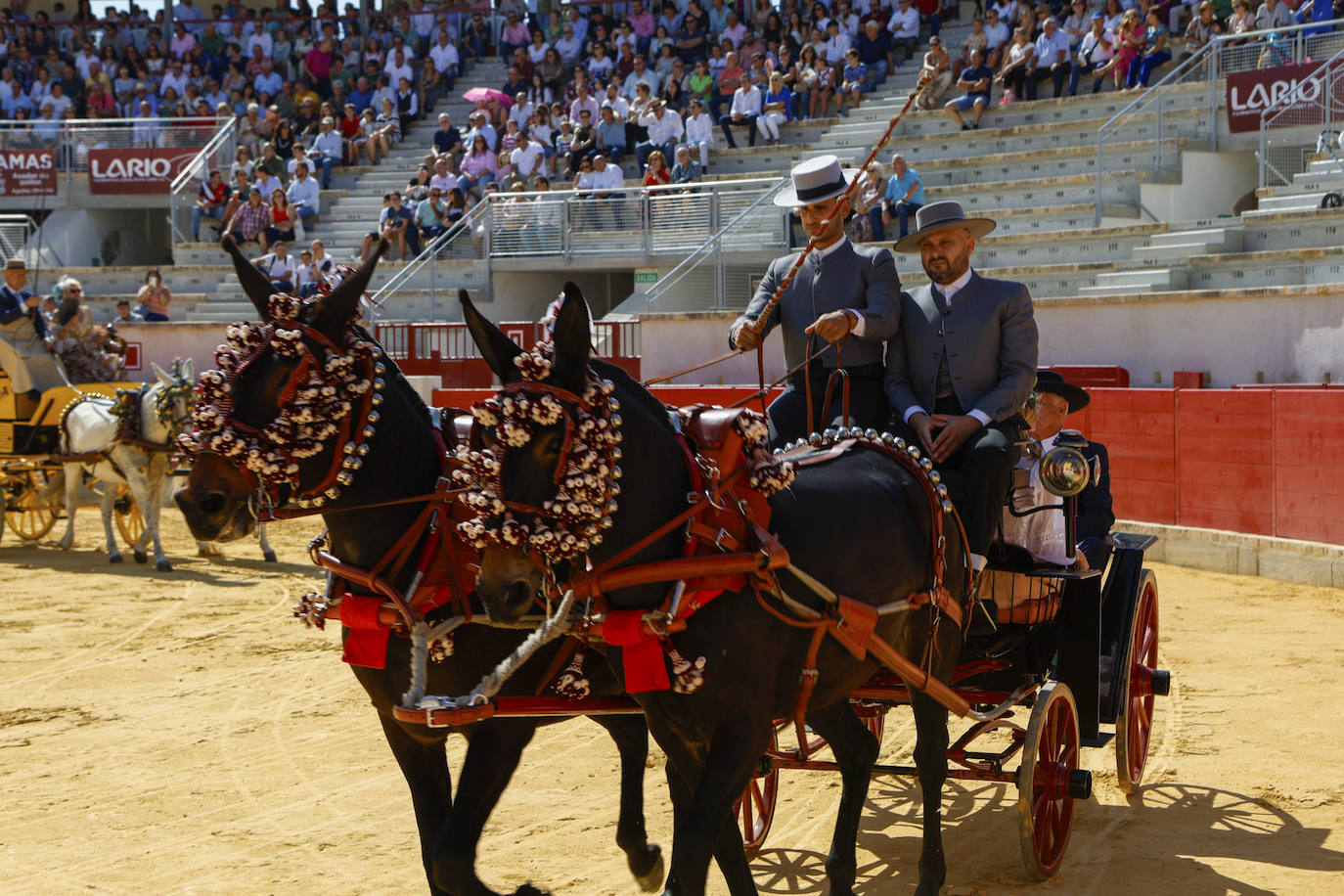 Las imágenes de la exhibición de enganches en Lorca