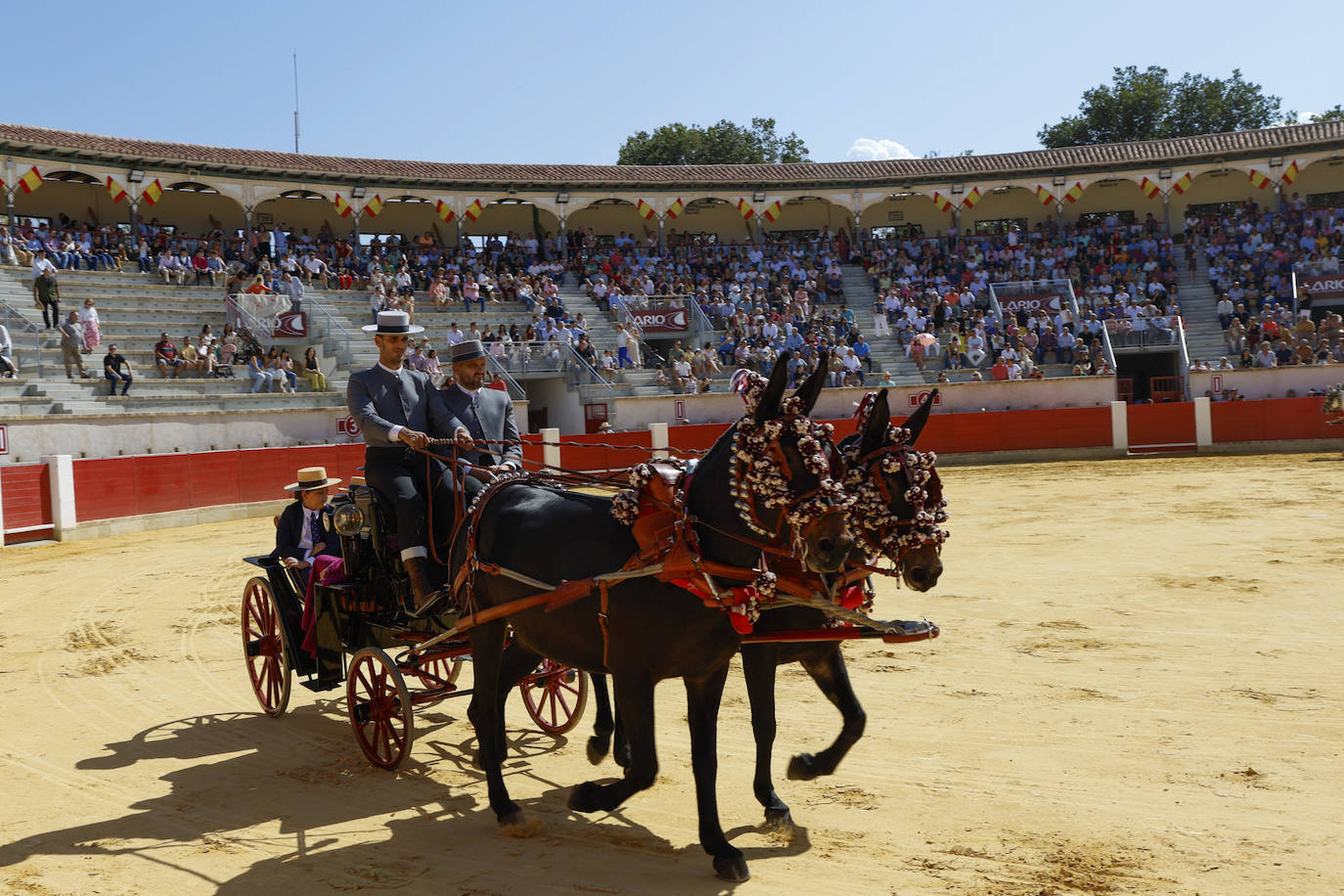 Las imágenes de la exhibición de enganches en Lorca