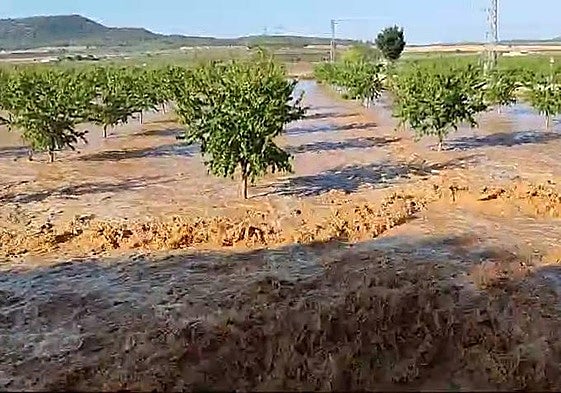 Riadas provocadas por la lluvia en Yecla.