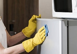 El sencillo truco para devolver a tus electrodomésticos amarillentos su blanco original.