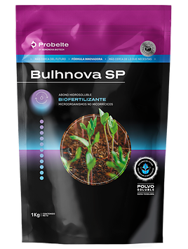 Bulhnova SP