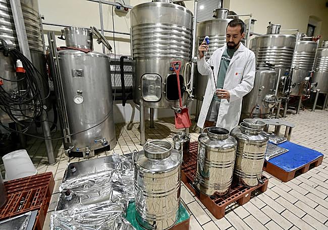 Trabajando en la Bodega Experimental del Imida, en Jumilla.
