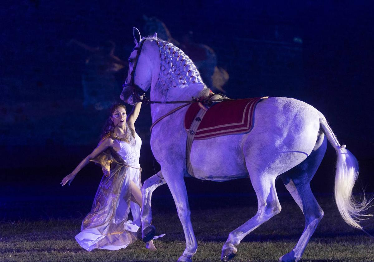 Las imágenes del Circo Romano en Cartagena