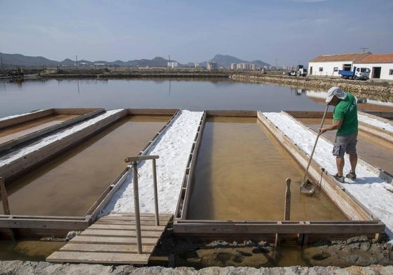 Con una pala. Julio Calderón, miembro de Anse, trabaja en el mantenimiento de las salinas de Marchamalo.