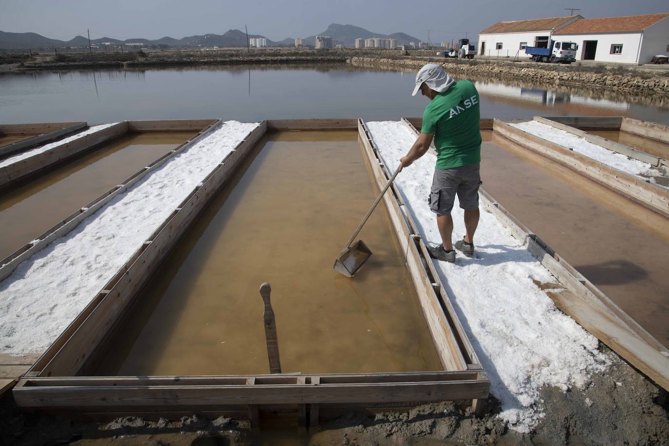 Las salinas de Marchamalo, en imágenes