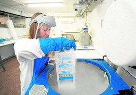 Una investigadora almacena muestras en uno de los laboratorios del IMIB, en una foto de archivo.