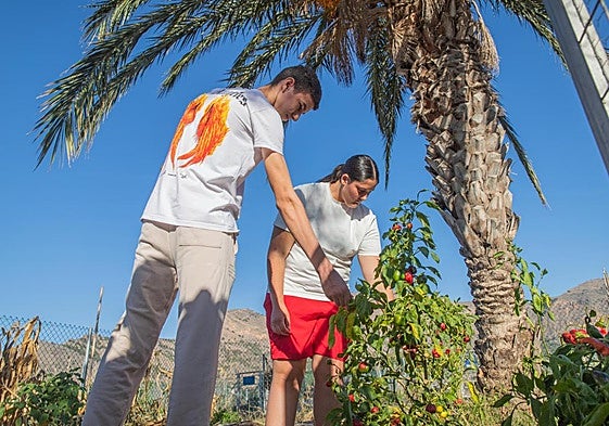 Dos usuarios de los huertos urbanos supervisan una plantación, este martes.