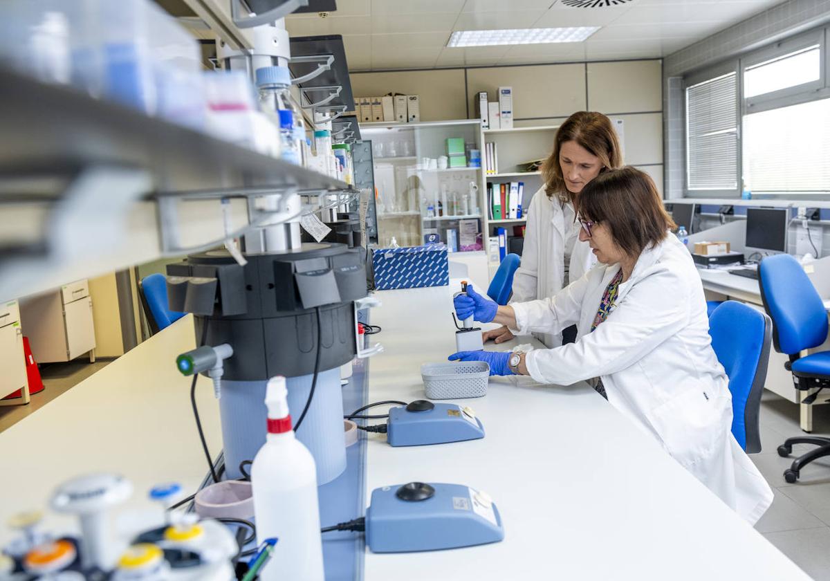 Dos investigadoras del Imida trabajan en laboratorio en un proyecto con variedades de uva.