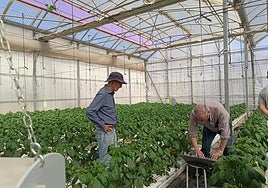 Investigadores en el lugar de ensayo.