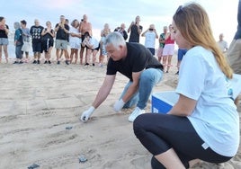 El concejal de Playas, Antonio Vidal, suelta una de los tortugas ante la expectación de muchos veicnos de La Mata.