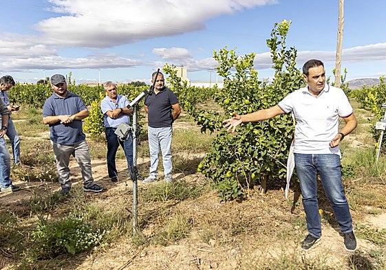 Emilio Nicolás (Cebas), junto a miembros de COAG, explica el uso de una sonda en una finca de limoneros de Fuente Álamo, ayer.