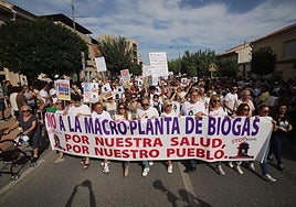 Cabecera de la manifestación que recorrió las calles de Las Torres de Cotillas este domingo.