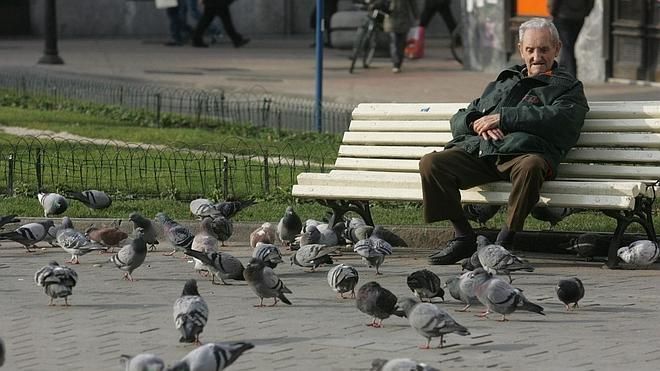 Un jubilado da de comer a las palomas en un parque de Vitoria, en una imagen de archivo.