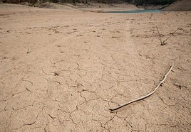Embalse de la Fuensanta.