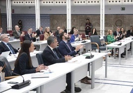 Diputados regionales, durante una sesión en la Asamblea.