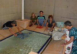 Vecinas de Abanilla, en el lavadero público municipal, limpian la ropa mientras charlan entre ellas.