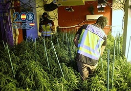 Imagen de una de las intervenciones.