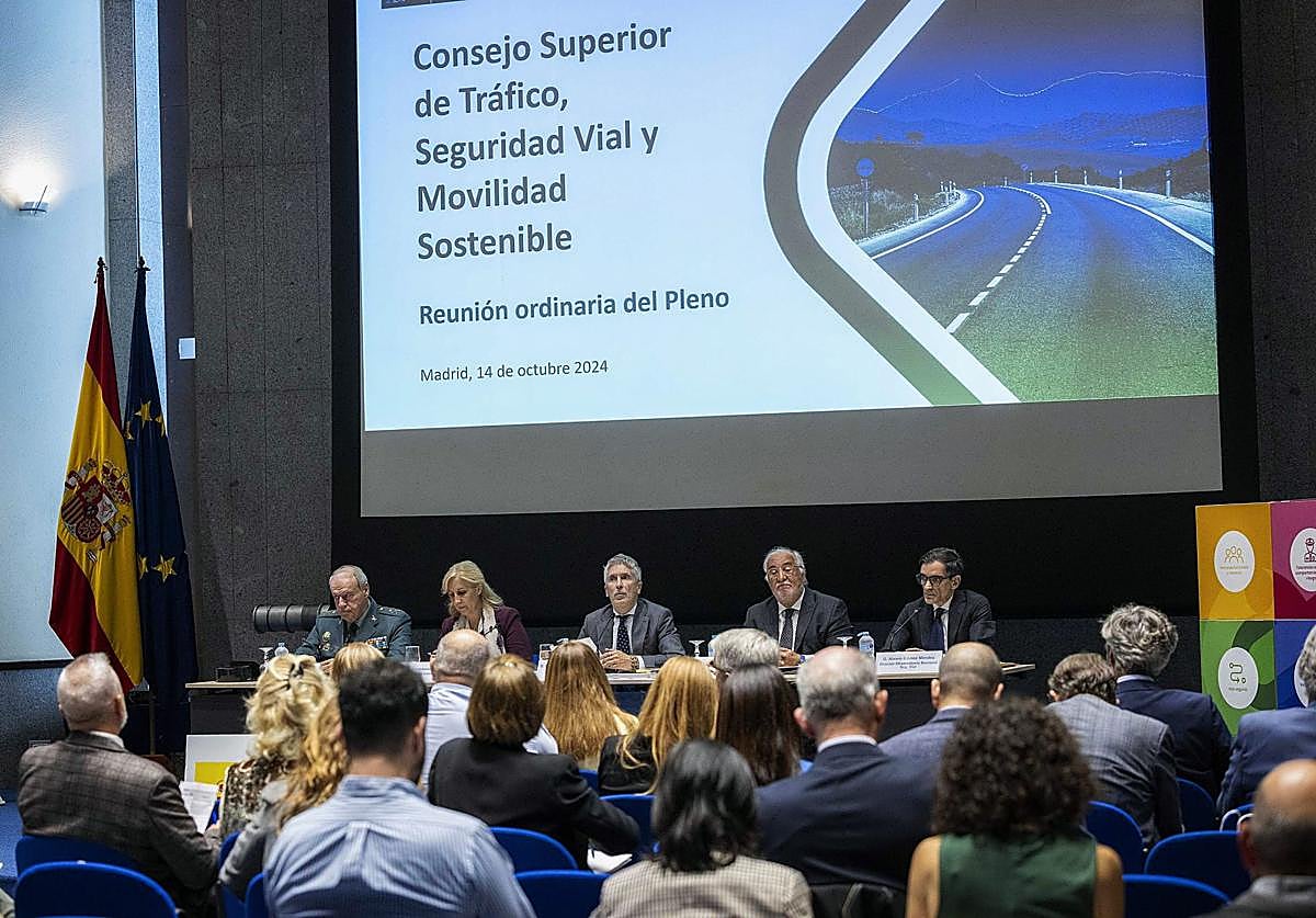 El ministro del Interior, Fernando Grande-Marlaska, interviene ne la rueda de prensa del Pleno del Consejo Superior de Tráfico y Seguridad Vial.