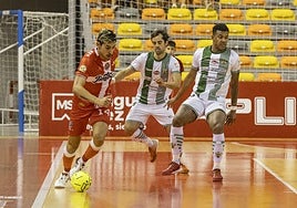 Las imágenes del Jimbee-Córdoba (4-0)
