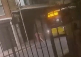 Captura del vídeo compartido en redes sociales, donde el joven aparece lanzando piedras contra el vehículo.