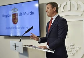 El portavoz del Ejecutivo autónomo, Marcos Ortuño, este jueves.