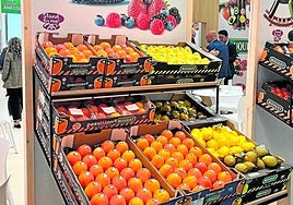 Exposición de kaki Bouquet y limones de Murcia en el estand de Anecoop en Fruit Attraction.