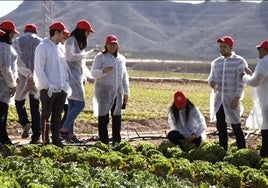 ENAE ofrece formación especializada en Agronegocios.