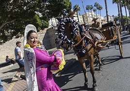 Los carruajes exhiben su encanto por Cartagena