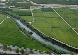 Calarroz 24, un encuentro con la gastronomía y la cultura de Calasparra