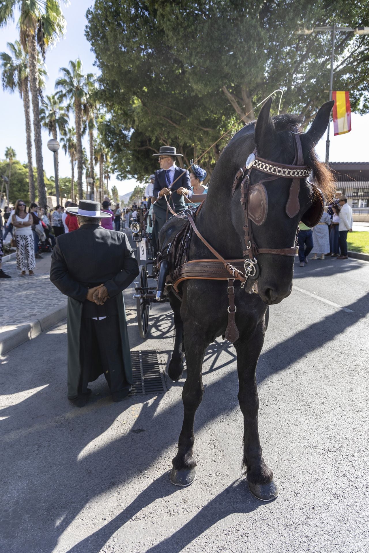 Los carruajes exhiben su encanto por Cartagena