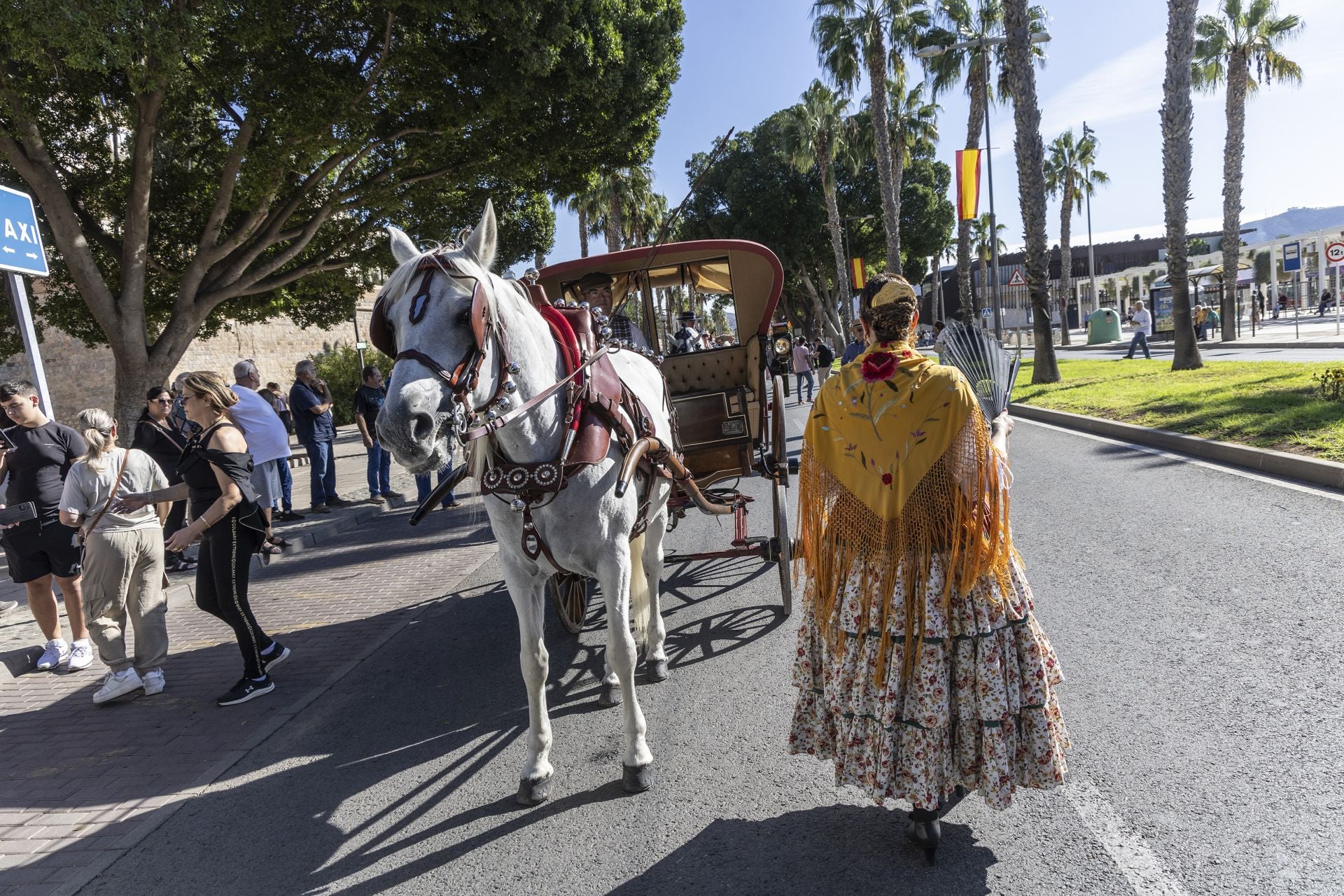 Los carruajes exhiben su encanto por Cartagena