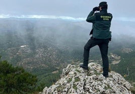 Un guardia civil en la zona donde se está realizando la búsqueda.