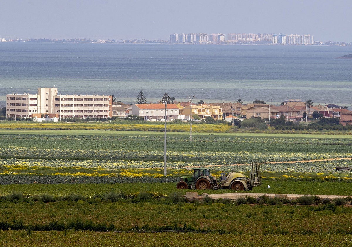 Un tractor recorre una finca agrícola en Cartagena, con el Mar Menor al fondo.