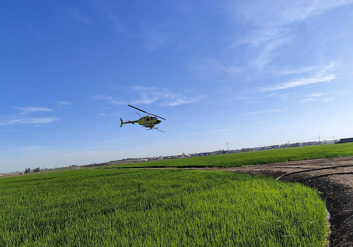 Ante la amenaza del cambio climático y la proliferación de plagas,Lokímica es tu aliado para proteger la salud de tu familia y tu comunidad.