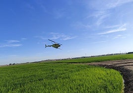 Ante la amenaza del cambio climático y la proliferación de plagas,Lokímica es tu aliado para proteger la salud de tu familia y tu comunidad.