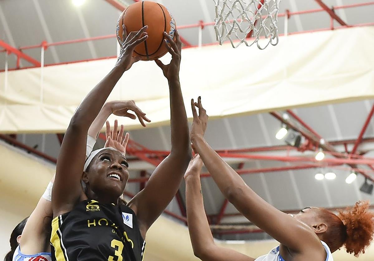 Chelsea Nelson coge un rebote ante el Ardoi navarro.