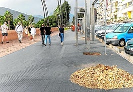 Un grupo de personas por la calle Muralla del Mar donde han sido talados y destoconados varios árboles.