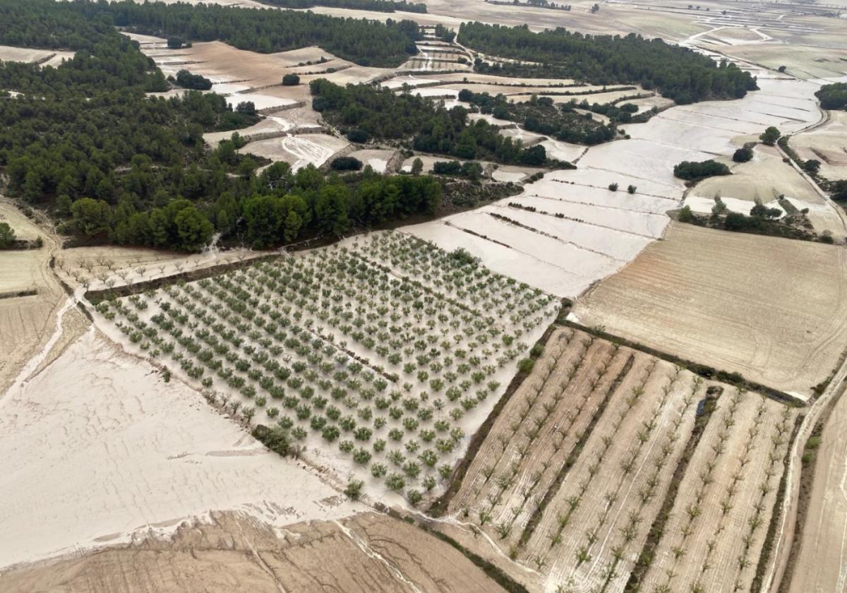 Riada en unas fincas de secano en el Noroeste, ayer, donde se registraron las mayores precipitaciones.