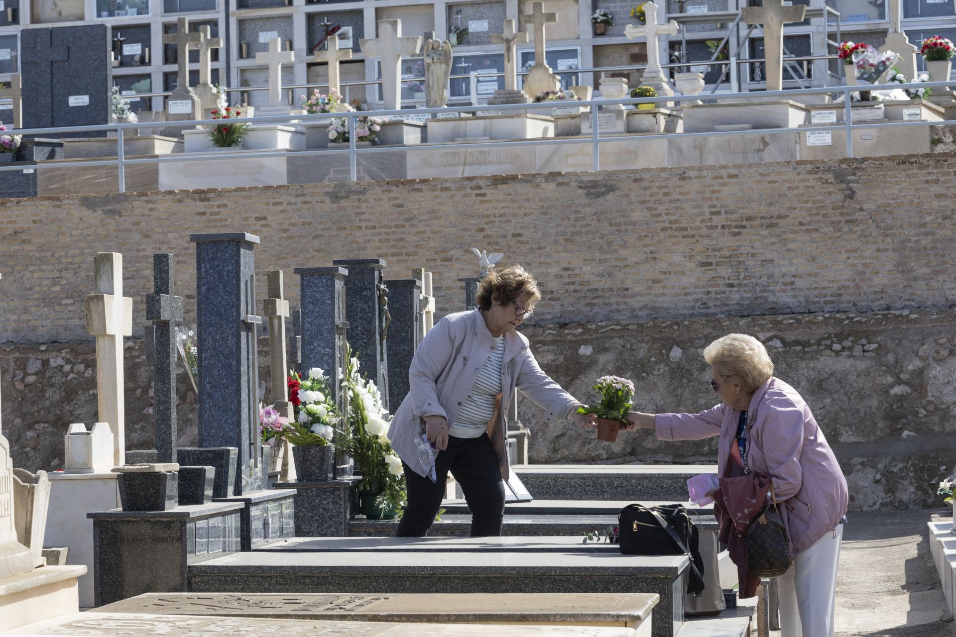 Las imágenes del Día de Todos los Santos en Cartagena