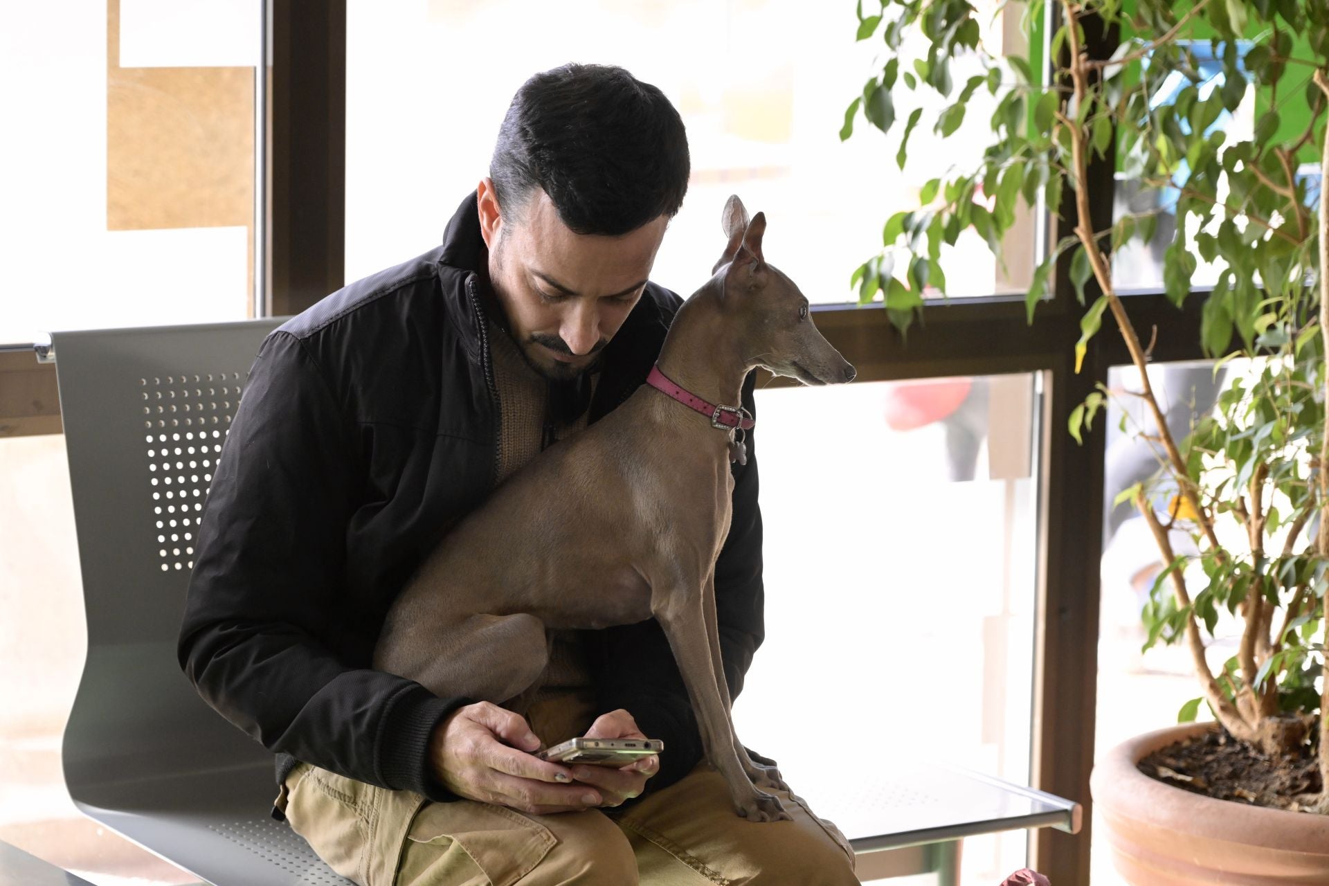 Acto conmemorativo del XXV aniversario del Hospital Clínico Veterinario de la UMU, en imágenes
