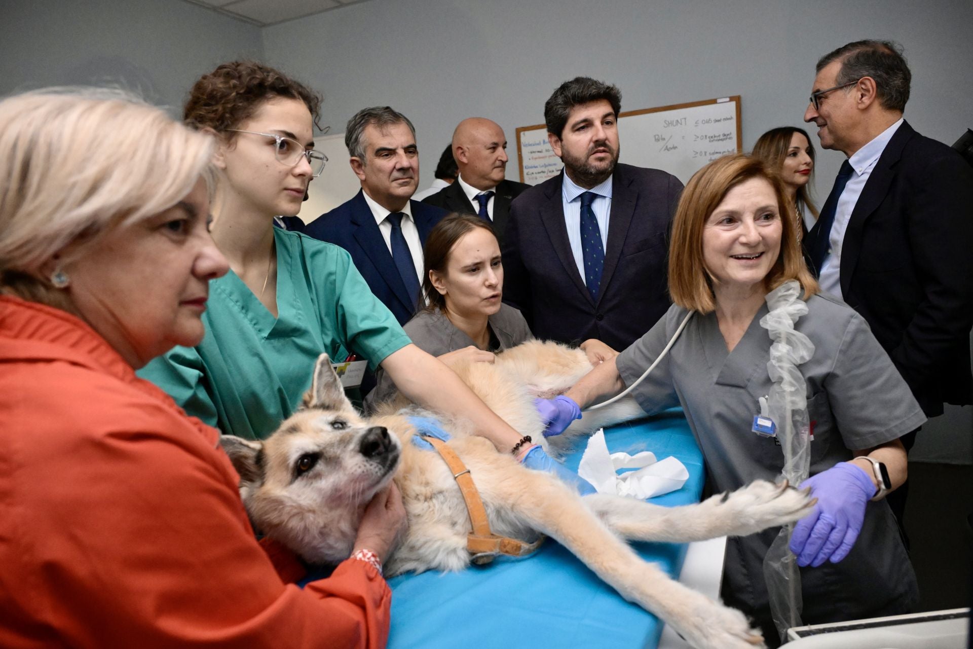 Acto conmemorativo del XXV aniversario del Hospital Clínico Veterinario de la UMU, en imágenes