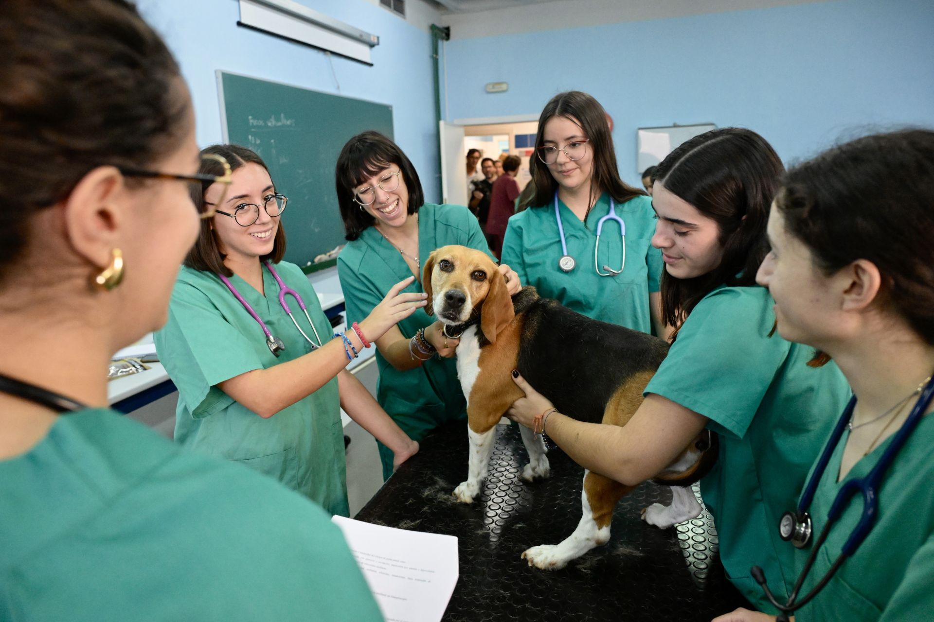 Acto conmemorativo del XXV aniversario del Hospital Clínico Veterinario de la UMU, en imágenes