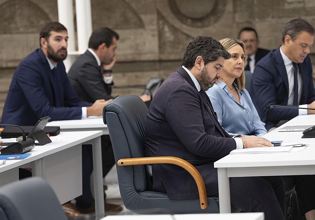 El Pleno de la Asamblea Regional de este martes, en imágenes
